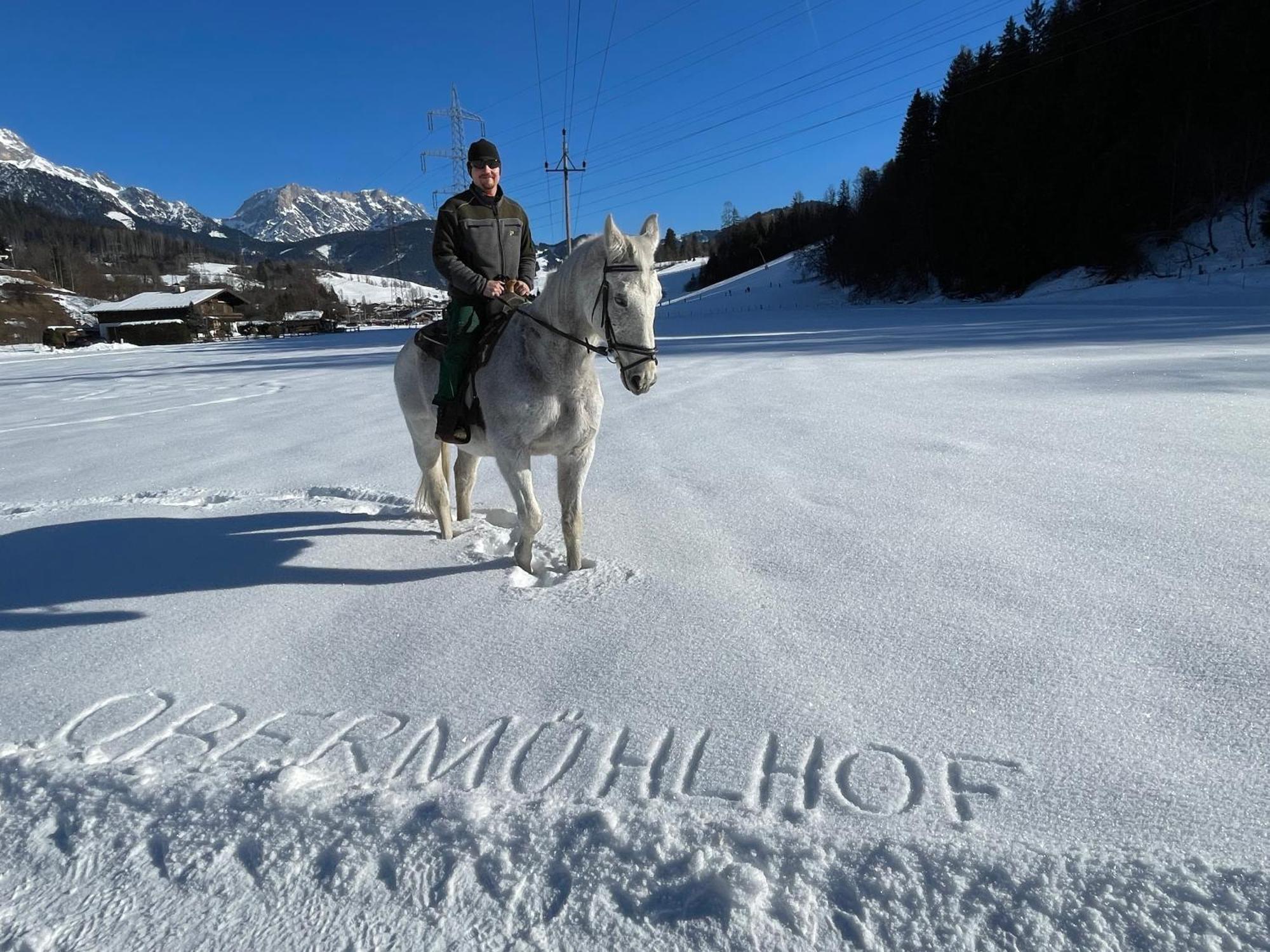 Obermuehlhof Διαμέρισμα Saalfelden Εξωτερικό φωτογραφία